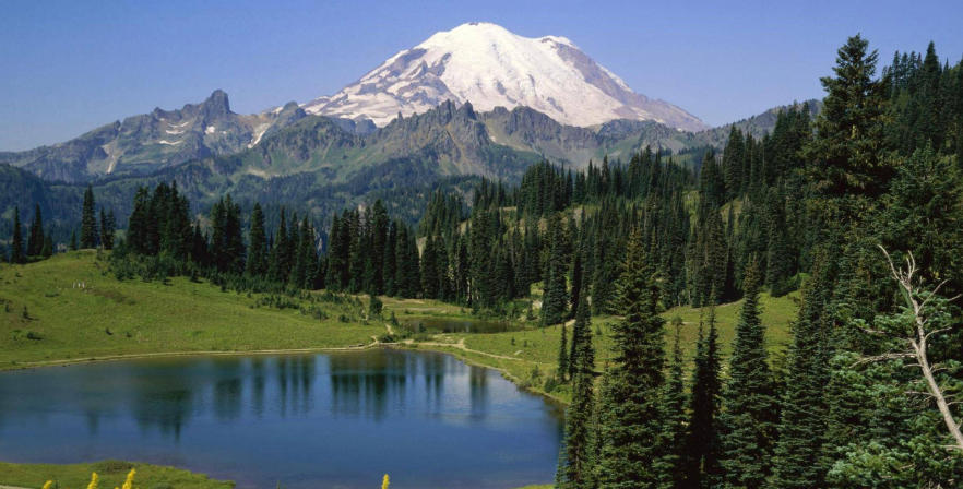 上海泽宇智能科技有限公司轮播图4